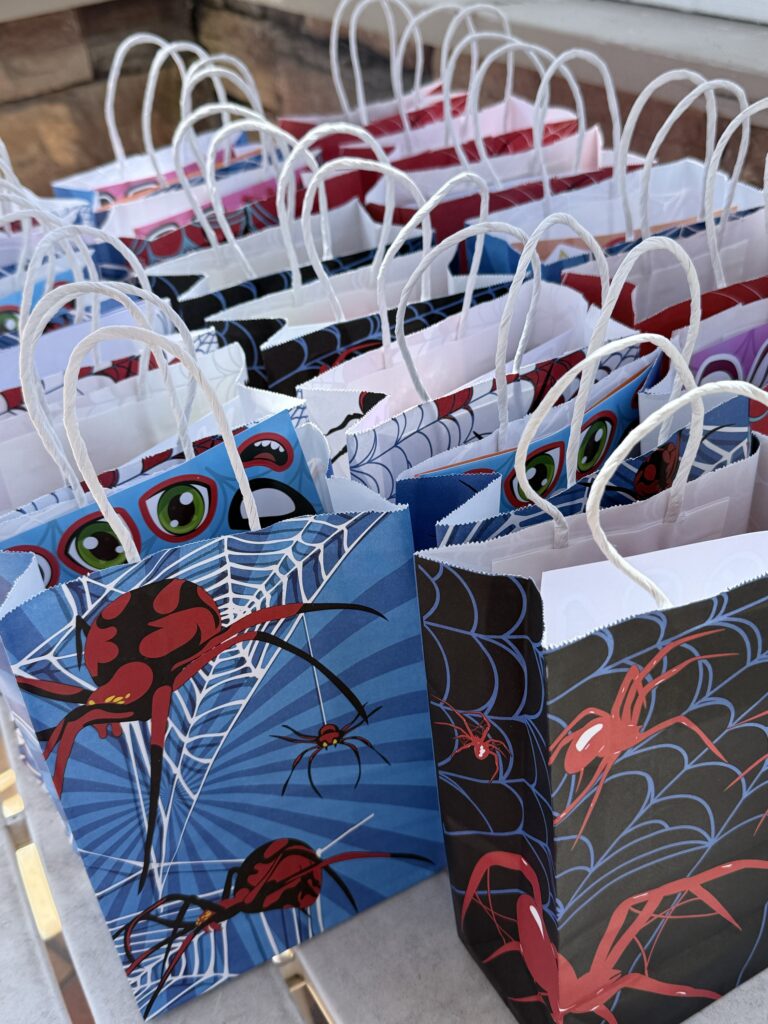 spiderman party bags