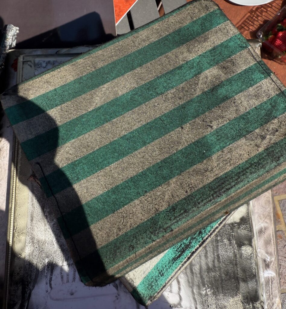 Fire Damaged Photos and Scrapbooks