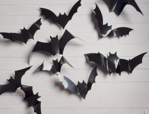 The Ultimate Halloween Must-Haves for 2025: Spooky & Cozy Décor Ideas