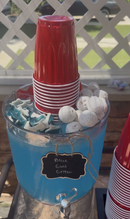 2 Gallon Drink Dispensers for Parties 2 PACK with Stand