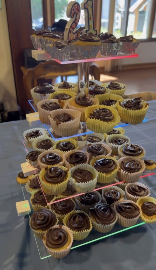 Cupcake Stand with Rechargeable Light - 4 Tiered Cupcake Tower Tree - Clear Cupcake Holder for 52 Cupcakes - Led Dessert Pastry Display Stand for Parties, Celebrations, and Events